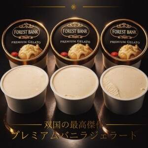 ふるさと納税限定　話題の『奇跡のバニラジェラート』 高石市×マダガスカルの万博コラボ商品【配送不可地域：離島】【1684042】