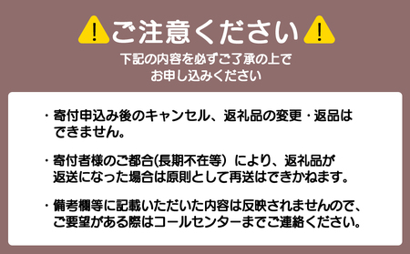 全粉乳 700g 2袋 よつ葉 業務用 ミルク パウダー