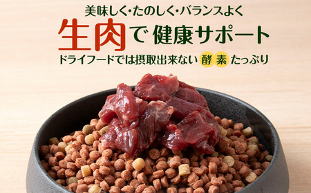 犬 おやつ 鹿肉 冷凍エゾシカ生肉 2kg （200g×10パック）