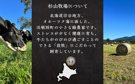 放牧牛 スロービーフ ハンバーグ 120g 6個(計720g) 杉山牧場