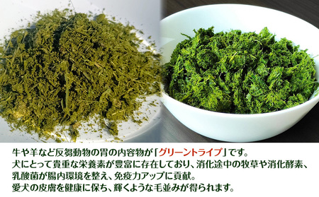 犬 おやつ 無添加 国産 乾燥グリーントライプ 80g (20g×4)