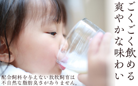 季しぼり 900ml×2本【池田牧場】