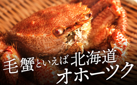 ☆北海道産 毛ガニ 約550g×1尾
