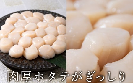 ホタテ 北海道産 冷凍 貝柱 500ｇ(250g×2個セット)【頓別漁業協同組合