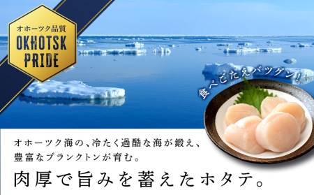 ホタテ 北海道産 冷凍 貝柱 500ｇ(250g×2個セット)【頓別漁業協同組合