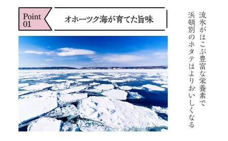 【12/19 受付分まで年内発送】ほたて 貝柱 冷凍 200ｇ(15粒前後)×5パック 小分け お取り寄せ 刺身 《横田水産》 北海道ホタテ ホタテ玉冷 刺身用 ほたて 帆立 貝柱 冷凍 刺身 オホーツク 海鮮 食品 北海道ふるさと納税