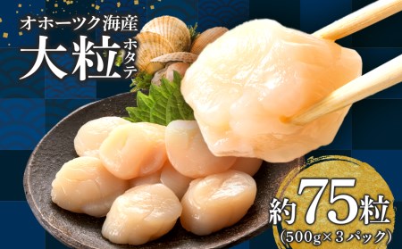 【12/19 受付分まで年内発送】ほたて 貝柱 大粒 冷凍 500ｇ(20～25粒前後)×3パック お取り寄せ 刺身 《横田水産》 北海道ホタテ ホタテ玉冷 刺身用 ほたて 帆立 貝柱 冷凍 オホーツク 海鮮 食品 