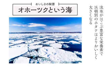 【12/19 受付分まで年内発送】ほたて 貝柱 大粒 冷凍 500ｇ(20～25粒前後)×3パック お取り寄せ 刺身 《横田水産》 北海道ホタテ ホタテ玉冷 刺身用 ほたて 帆立 貝柱 冷凍 オホーツク 海鮮 食品 