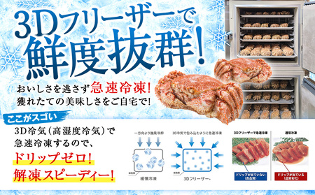 北海道産 毛ガニ 毛蟹の鉄砲汁6人前（2人前×3パック）