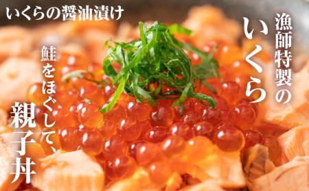 北海道産 毛ガニ 『お食事シリーズB』鮭のバラエティーセット・イクラ・毛蟹の鉄砲汁のセット！ おかず 3種 詰め合わせ