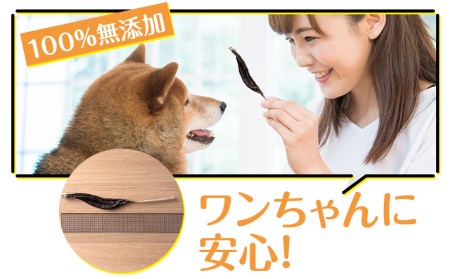 犬 おやつ 無添加 国産 エゾ鹿 アキレス ジャーキー (100g)