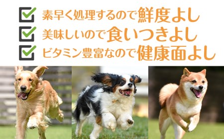 犬 おやつ 無添加 国産 エゾ鹿 アキレス ジャーキー (100g)