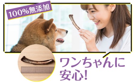 犬 おやつ 無添加 国産 骨 エゾ鹿 肉付き アバラ骨 (150g)