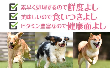 犬 おやつ 無添加 国産 骨 エゾ鹿 ボーン 肩甲骨 (約300g)