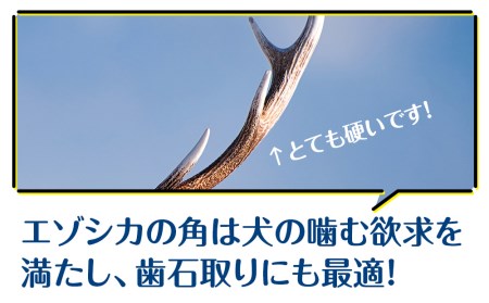 犬 おもちゃ おやつ 無添加 国産 エゾ鹿 鹿角 (200g～300g) 歯磨き