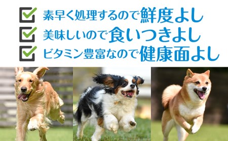 定期便 全4回 お楽しみ 犬 おやつ 無添加 国産 エゾ鹿肉 ジャーキー (150g)