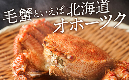 ☆北海道産 毛ガニ 約550g×2尾 セット かに 蟹 毛蟹 冷凍 北海道産