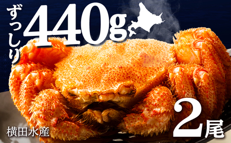 2024年4月以降発送】☆北海道産 毛ガニ 約440g×2尾 セット かに 蟹