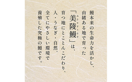 No.280 【鰻セレブ】鰻の蒲焼 2尾