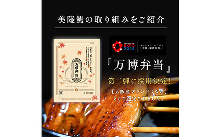 No.281 【鰻セレブ】鰻の白焼　2尾