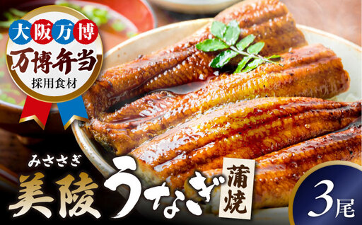 No.283 【鰻セレブ】鰻の蒲焼　3尾
