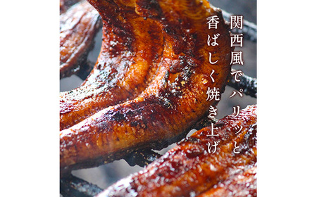 No.285 【鰻セレブ】鰻の蒲焼　2尾（6カ月定期便）