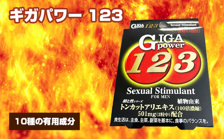 No.309 ギガパワー 123