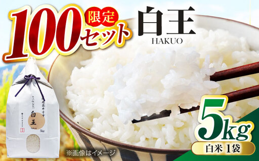 No.210 桝田米穀のお米　白王（HAKUO）5kg