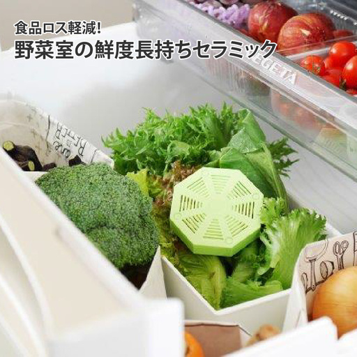 食品ロス軽減！野菜室の鮮度長持ちセラミック