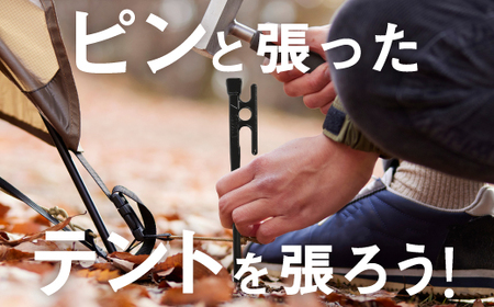 IWANOペグ16本セット《抜かない限り抜けません》テントを張るならIWANOペグ
