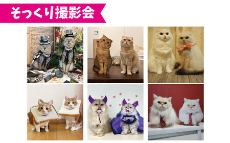 【受注生産】nekoto_うちの子爪とぎパネル 