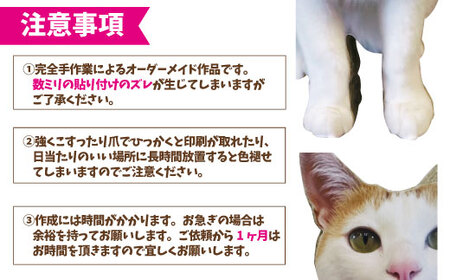 【受注生産】nekoto_うちの子爪とぎパネル 