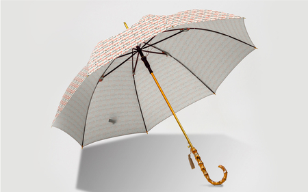 EMILY BURNINGHAM 長傘60cm ロンドン