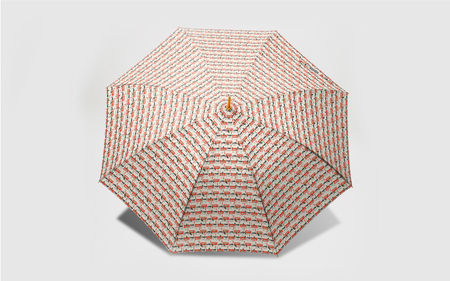 EMILY BURNINGHAM 長傘60cm ロンドン