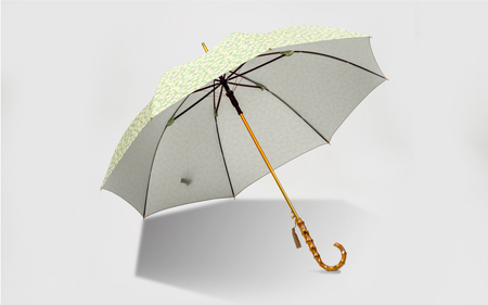 EMILY BURNINGHAM 長傘60cm ポインセチア