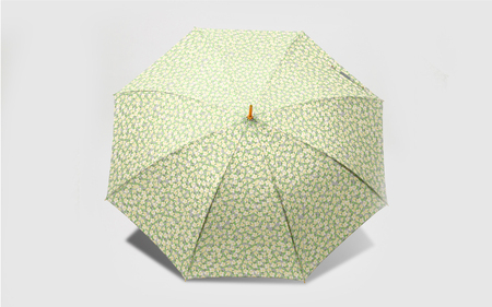 EMILY BURNINGHAM 長傘60cm ポインセチア