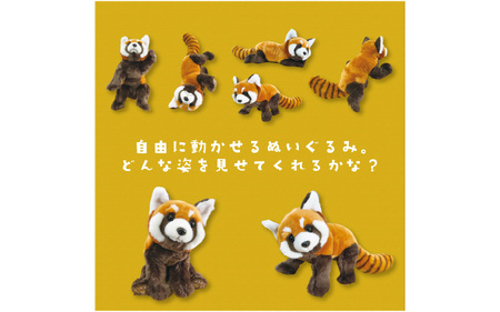 ＼大阪・関西万博2025出展／ともだちになれるぬいぐるみ！【ANI-PAL アニ・パル】（マヌルネコ）