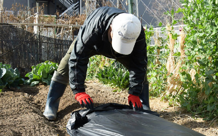 使用後は自然へ還る生分解農業用マルチシート　NINJAマルチ　200ｍ