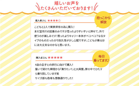 キッズトラベル キャリーケース折りたたみタイプ（くすみグリーン） - 子供が乗れるキャリーケース