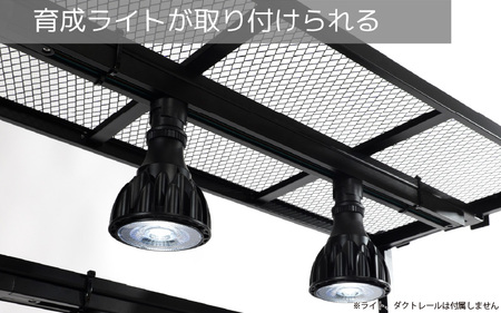 【BIBILAB】ビザールプランツウォールラック （LPW-2100-BK） - 植物にとって最適な環境を作れる