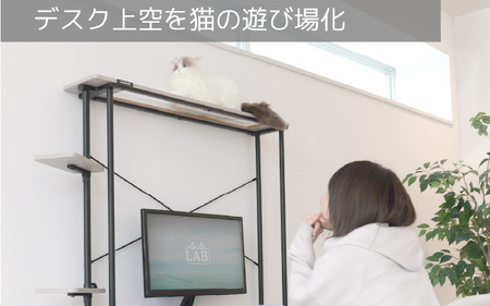【BIBILAB】猫タワーラック(LCR-1000-GY) - 猫の遊び場化できる薄型ラック