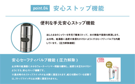 アラミック 3Dシャワー・プラチナ 〈便利な機能を手元に凝縮したシャワーヘッド〉