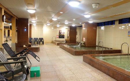 なにわ健康ランド湯～トピア　入館ギフト券5枚 〈複数のお風呂やサウナをご利用いただけます〉