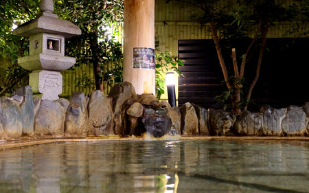 なにわ健康ランド湯～トピア　入館ギフト券10枚 〈複数のお風呂やサウナをご利用いただけます〉