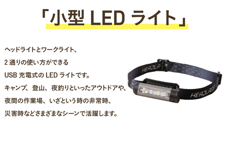 ヘッドライト×ワークライト