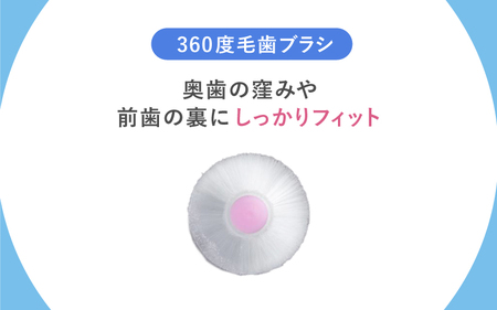 360度毛歯ブラシ「POPOTAN　スリム」１５本セット