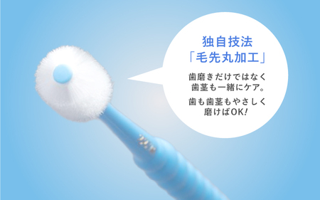 360度毛歯ブラシ「POPOTAN　爽」１５本