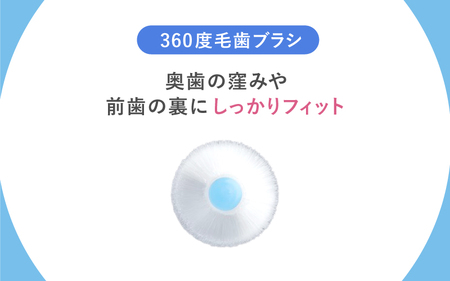 360度毛歯ブラシ「POPOTAN　爽」１５本