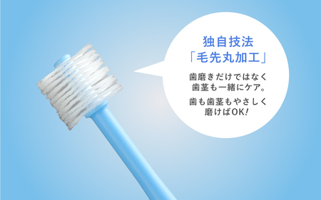 360度毛歯ブラシ「POPOTAN　優」１５本セット