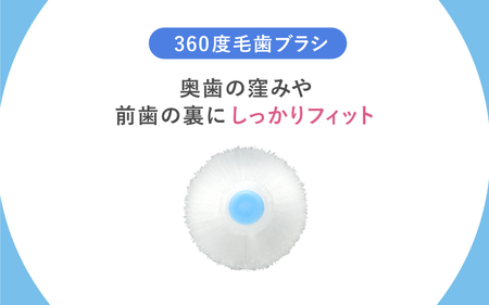 360度毛歯ブラシ「POPOTAN　優」１５本セット